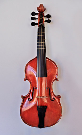 Vista de violin quinton